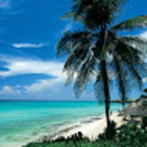 Meet your Posher, Terry